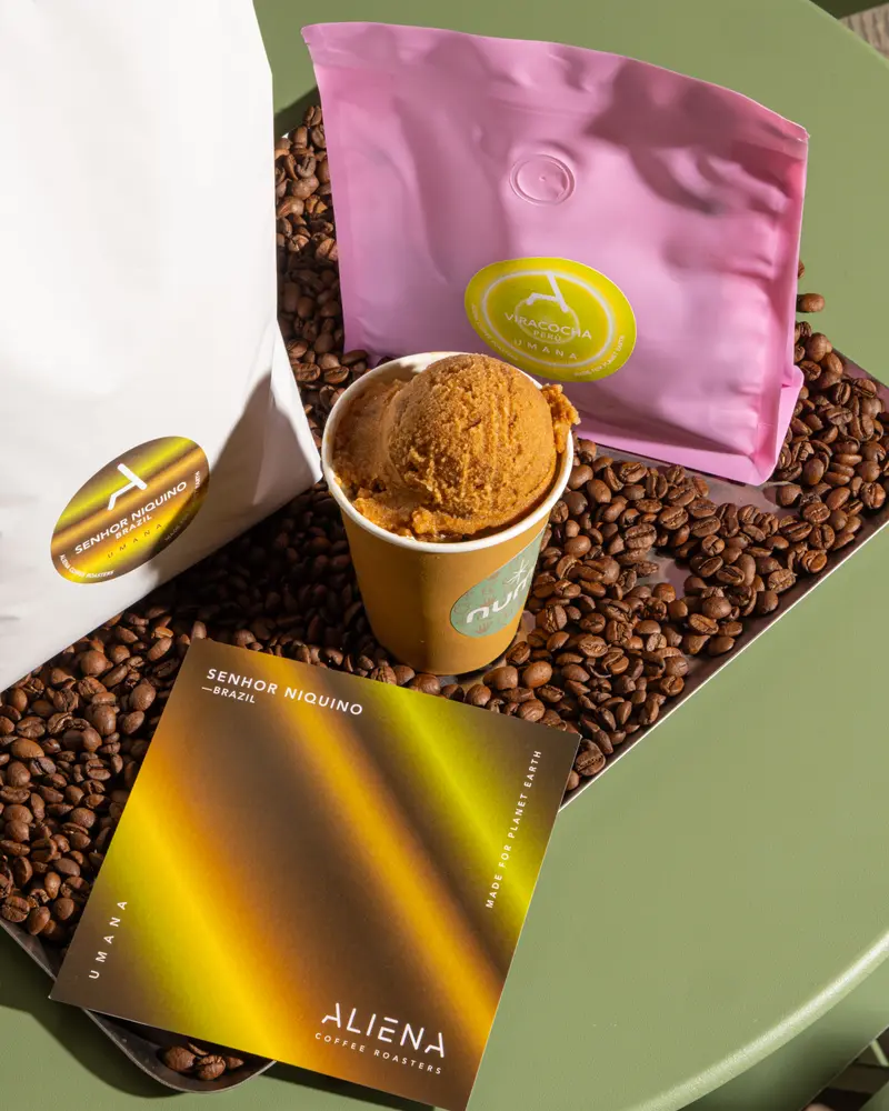 Gelato al caffè Numa in coppetta su chicchi di caffè della torrefazione partner